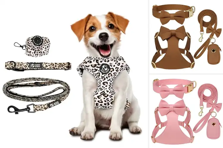 Detailed view of Best 4 Piece Dog Harness Set