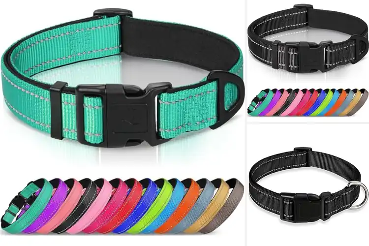 Detailed view of Best Adjustable Dog Collar: Top 10 Picks for Safety & Style