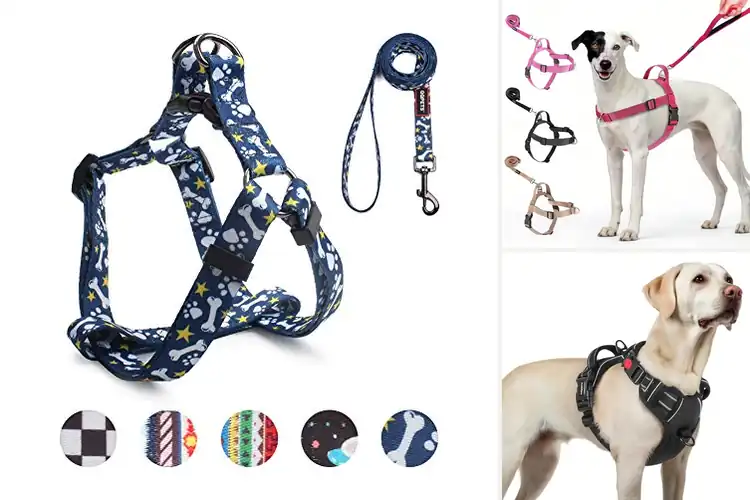 Detailed view of Best Adjustable Dog Harness Chest Girth