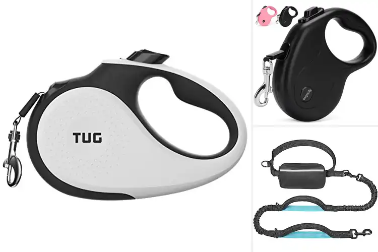 Detailed view of Best Adjustable Dog Leashes for Smarter Walks