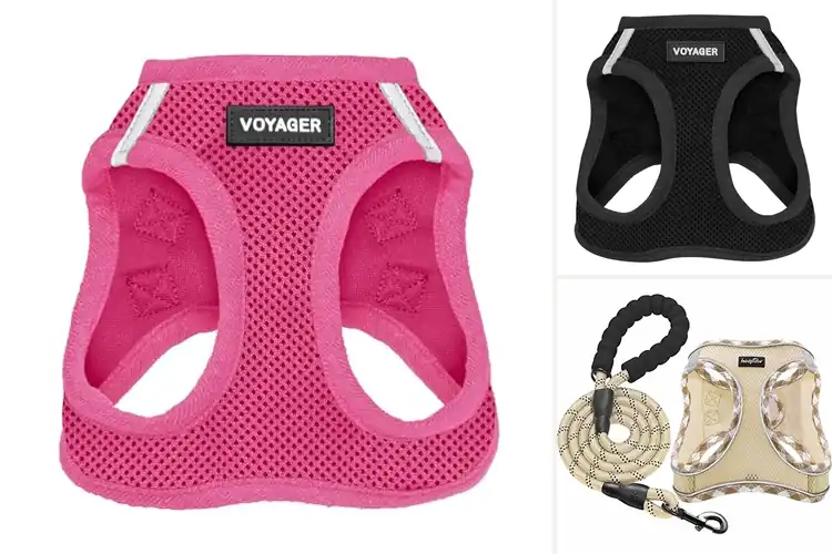 Detailed view of Best Air Mesh Dog Harnesses