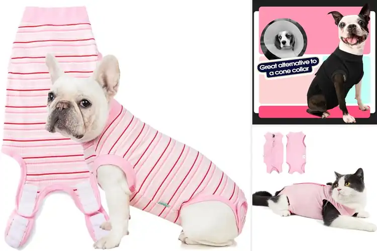 Detailed view of Best Anti-Licking Suits