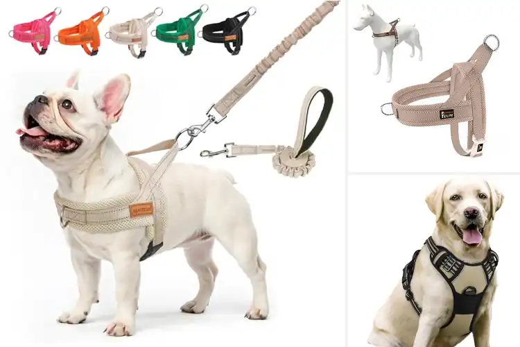Detailed view of Best Beige Dog Harnesses