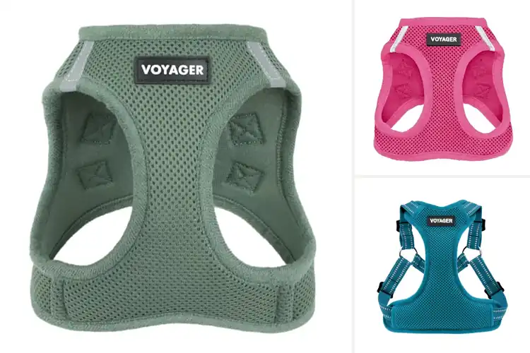 Detailed view of Best Breathable Dog Harness