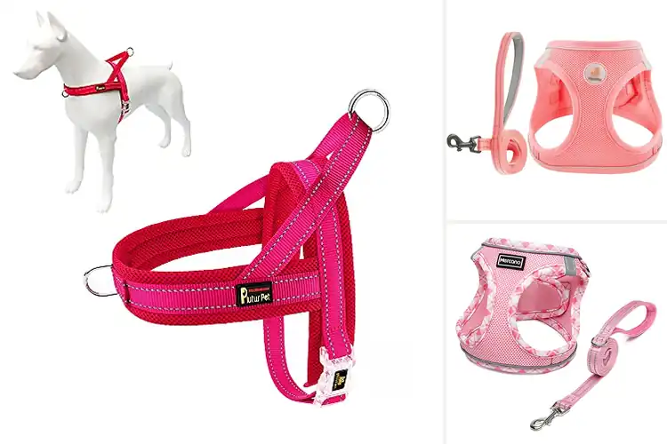 Detailed view of Best Breathable Dog Harnesses for Cool Comfort & Safety