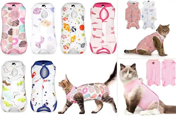 Detailed view of Best Cat Recovery Suits