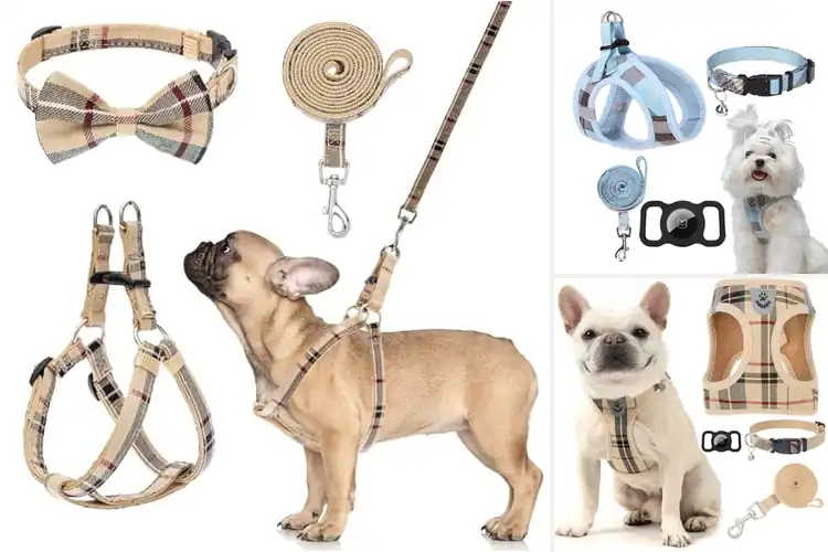 Detailed view of Best Classic Plaid Harness Set