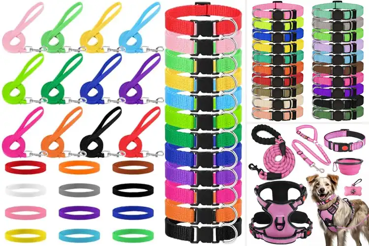 Detailed view of Best Collar Sets: 10 Stylish & Safe Options for Your Pet