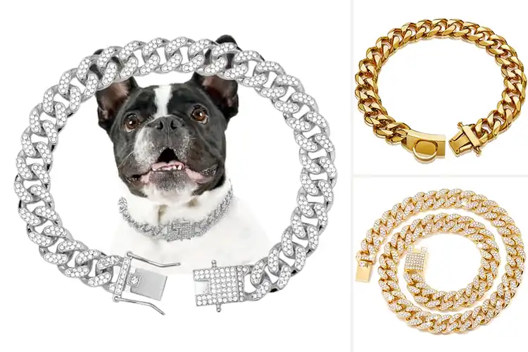Detailed view of Best Cuban Link Dog Collars