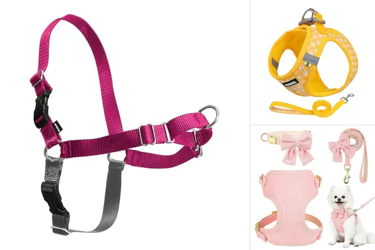 Detailed view of Best Daily Walk Dog Harness Kit