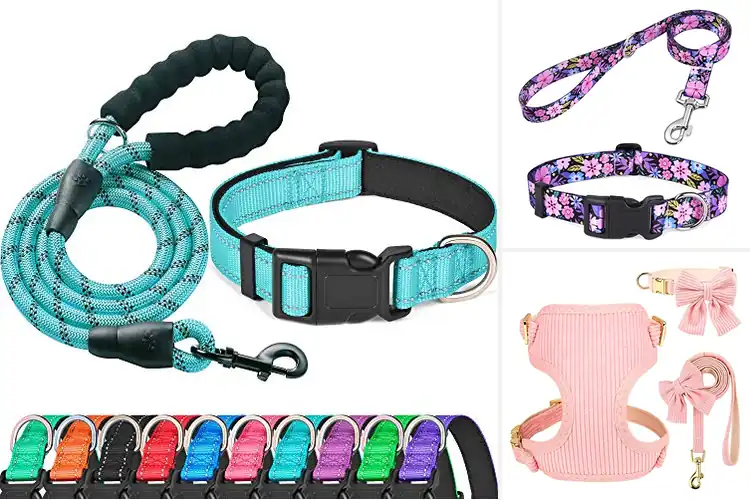 Detailed view of Best Dog Collar And Leash Sets: Top 10 Stylish & Safe Picks