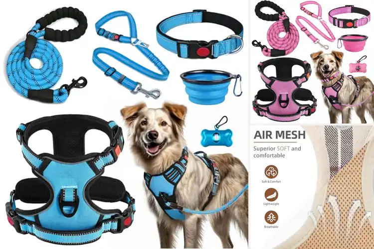 Detailed view of Best Dog Harness Leash Collar Set: Happy Walks