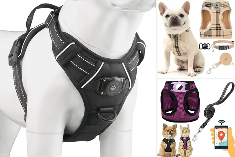 Detailed view of Best Dog Harness With AirTag Holder