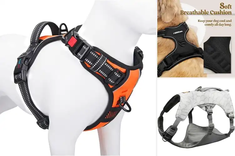 Detailed view of Best Dog Harnesses for Comfort, Control & Safety on Walks