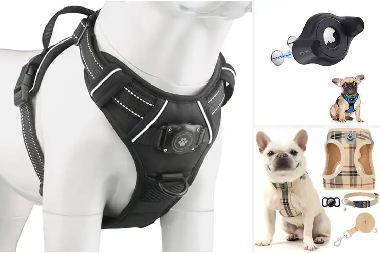 Detailed view of Best Dog Harnesses With AirTag Holder