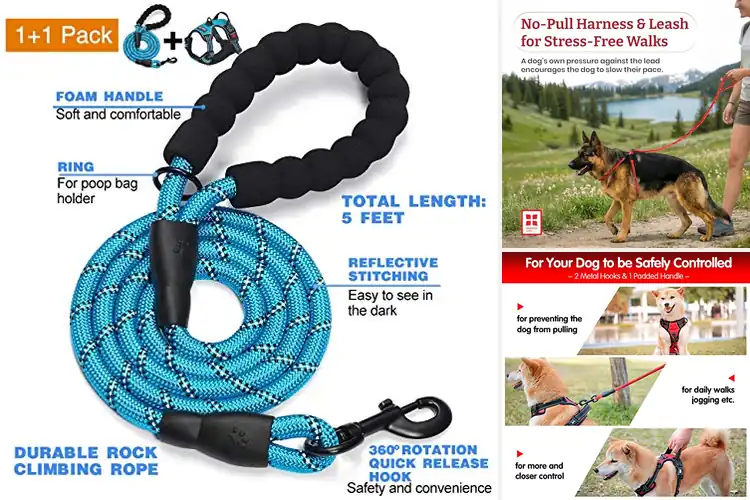 Detailed view of Best Dog Leash And Harness Combos