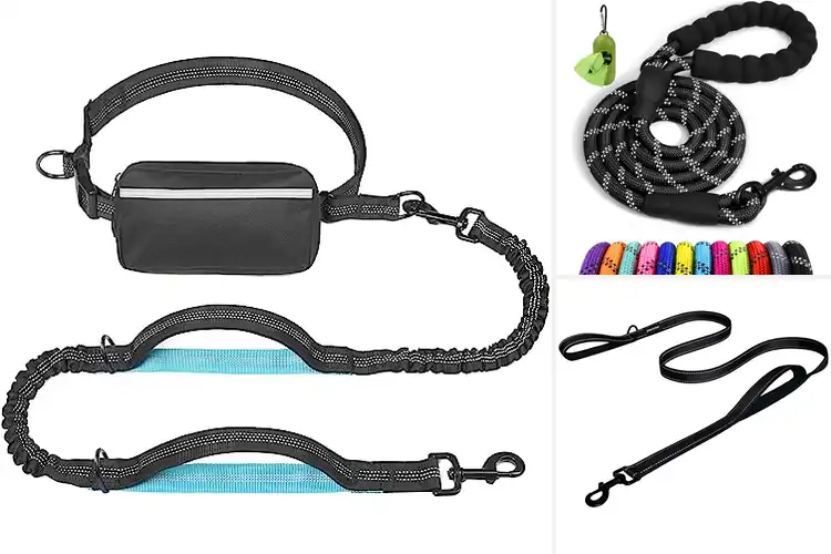 Detailed view of Best Dog Leashes For Walking