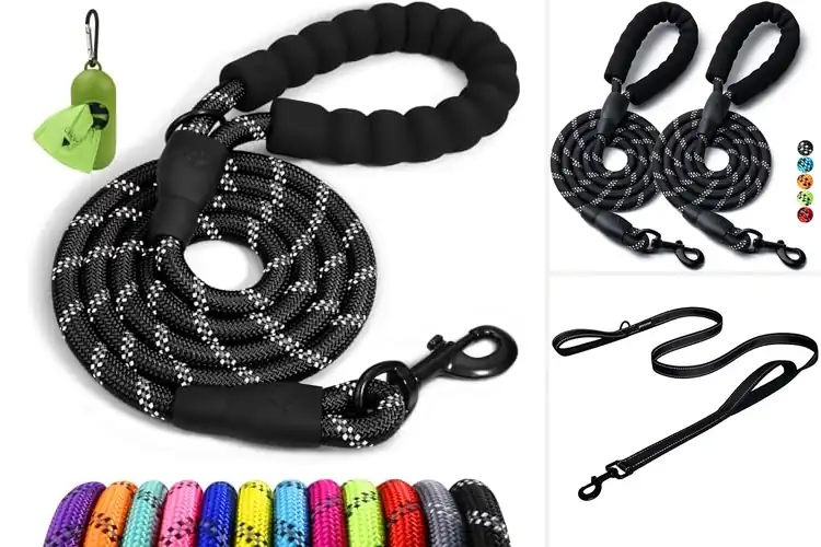 Detailed view of Best Dog Leashes: Enjoyable Walks with Safety & Comfort