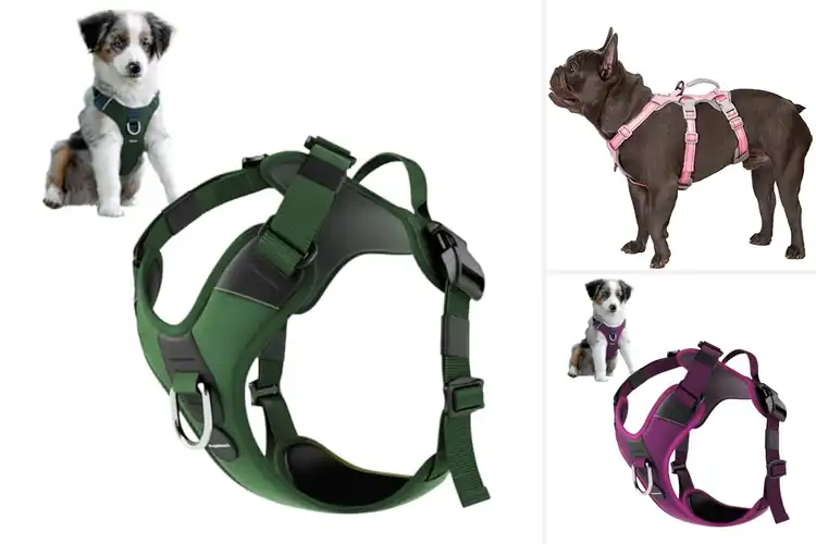 Detailed view of Best Durable Polyester Harness