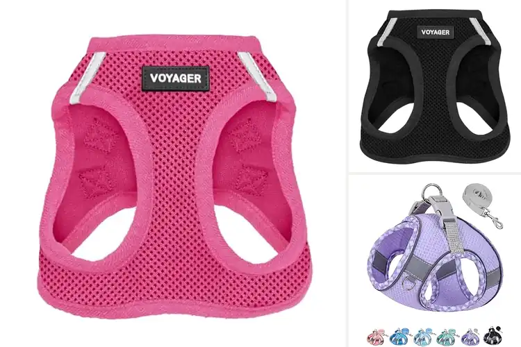 Detailed view of Best Harness For Small Dogs