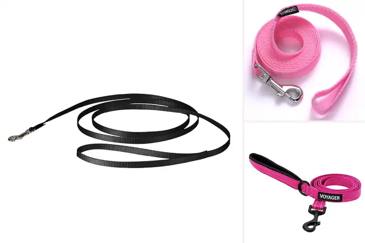 Detailed view of Best Leashes For Walking Puppies