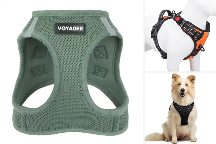 Detailed view of Best Medium Dog Harnesses