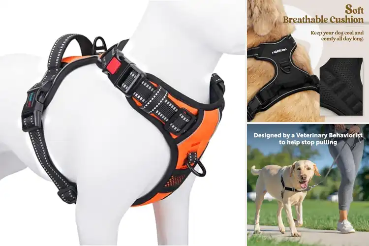 Detailed view of Best No Pull Dog Harnesses: Stress-Free Walks