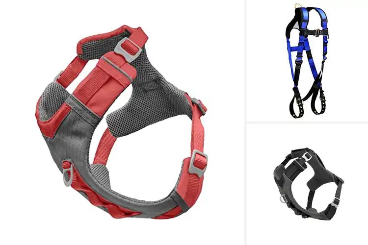 Detailed view of Best Padded Air Mesh Harnesses