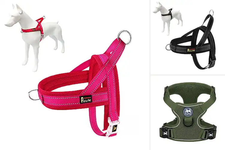 Detailed view of Best Padded Breathable Dog Harnesses