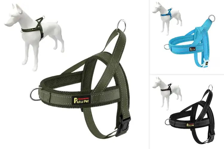 Detailed view of Best Padded Breathable Harness