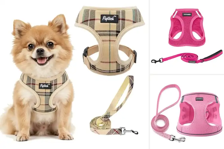 Detailed view of Best Padded Mesh Puppy Harnesses