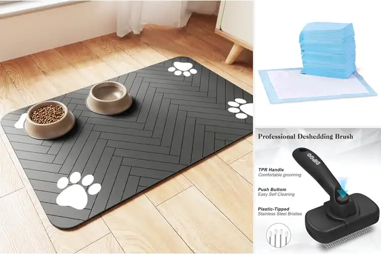 Detailed view of Best Pet Accessories : Spoil Your Furry Friend