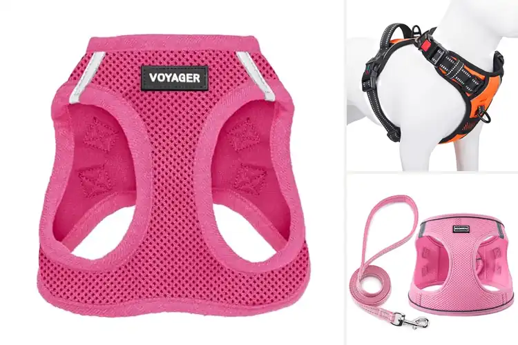 Detailed view of Best Pet Harnesses