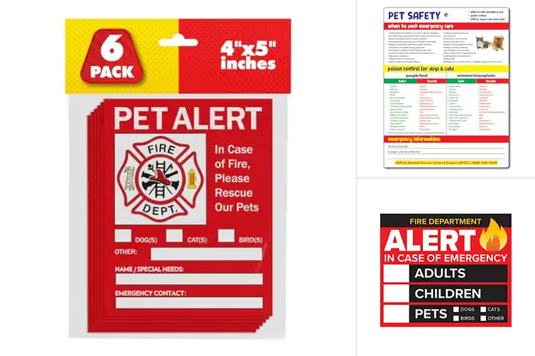 Detailed view of Best Pet Safety Products to Protect Your Beloved Pets Easily