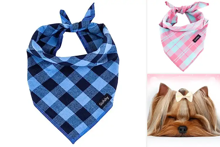 Detailed view of Best Plaid Dog Accessories: 9 Top Picks for Style & Comfort