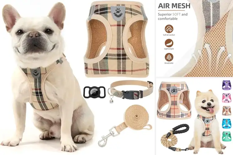 Detailed view of Best Plaid Dog Harness And Leash Sets