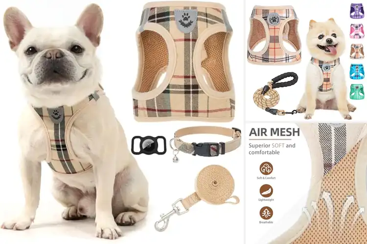 Detailed view of Best Plaid Dog Harness Set: Stylish Comfort for Your Pup