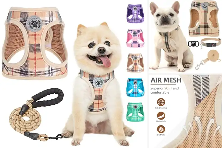 Detailed view of Best Plaid Dog Harness Sets: Top 10 Stylish & Safe Picks