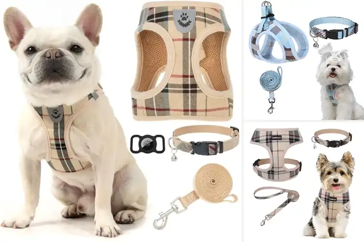 Detailed view of Best Plaid Dog Kits
