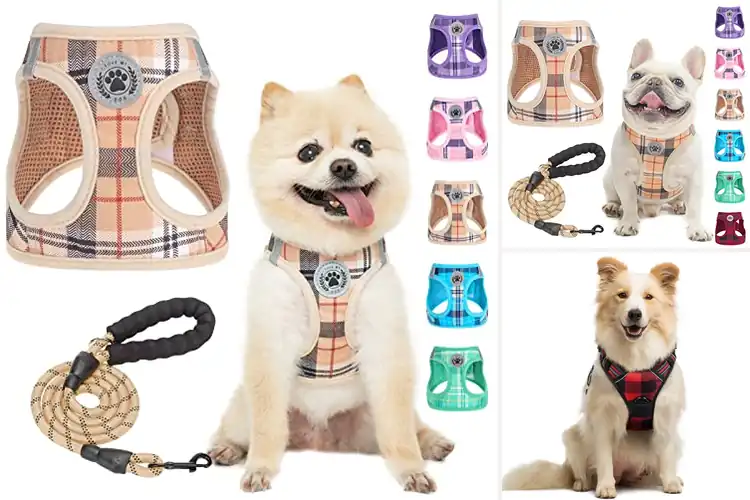 Detailed view of Best Plaid Dog Vest Harnesses