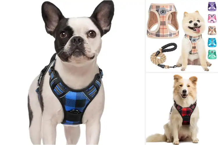 Detailed view of Best Plaid Harnesses