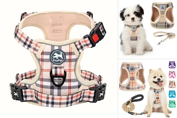 Detailed view of Best Plaid Pattern Dog Harness