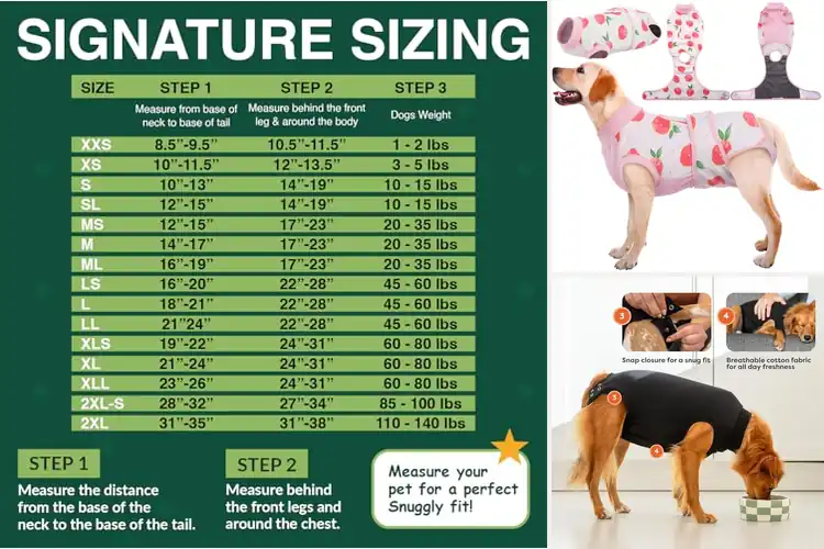 Detailed view of Best Post-Neuter Recovery Suits