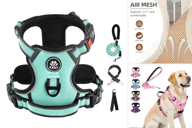 Detailed view of Best Premium Polyester Harness Sets