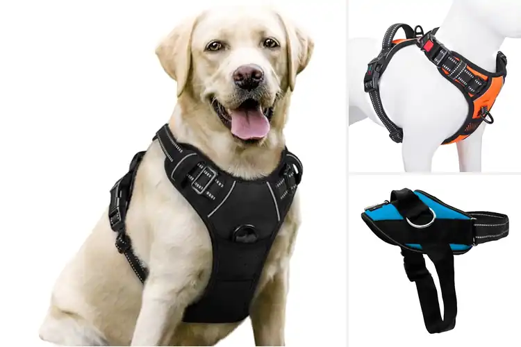 Detailed view of Best Quality Dog Harnesses