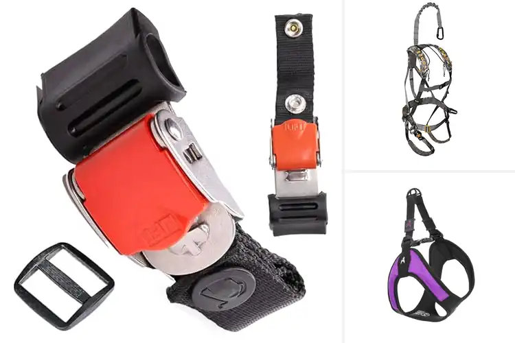 Detailed view of Best Quick Release Buckle Harnesses