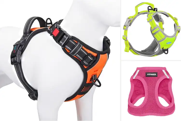 Detailed view of Best Reflective Dog Harnesses