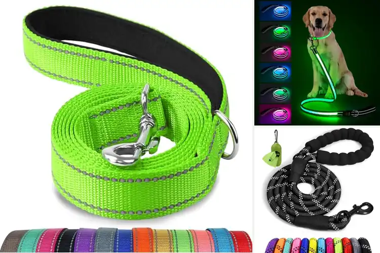 Detailed view of Best Reflective Leashes For Walking