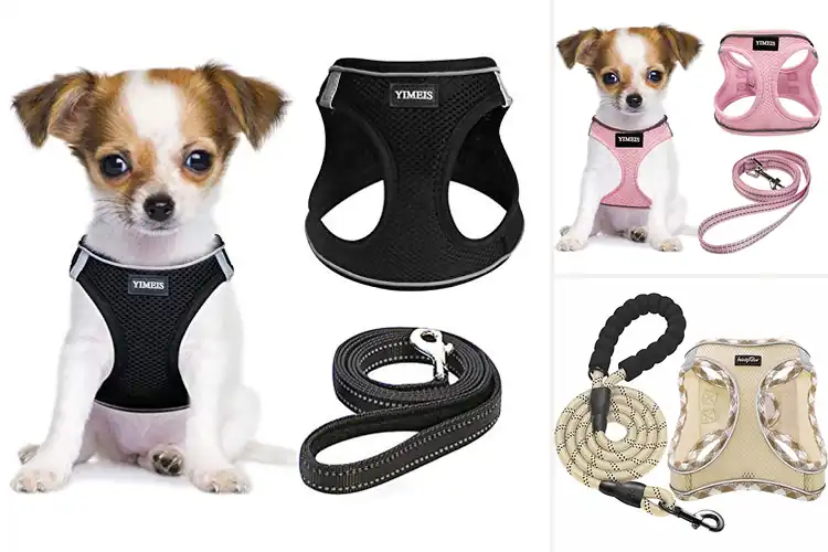 Detailed view of Best Reflective Puppy Harness Sets