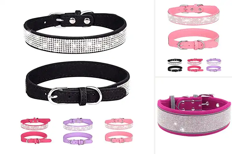 Detailed view of Best Rhinestone Dog Collars